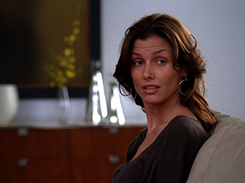 Bridget Moynahan in Six Degrees (2006)