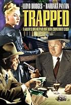 Lloyd Bridges, John Hoyt, and Barbara Payton in Trapped (1949)