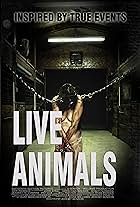 Live Animals