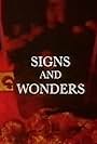 Signs and Wonders (1995)