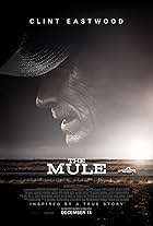 The Mule