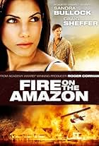 Fire on the Amazon