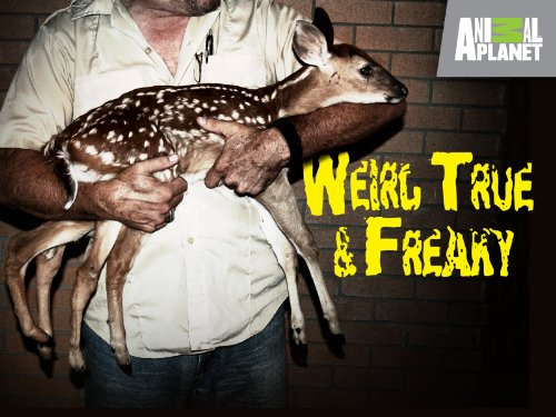 Weird, True & Freaky (2008)