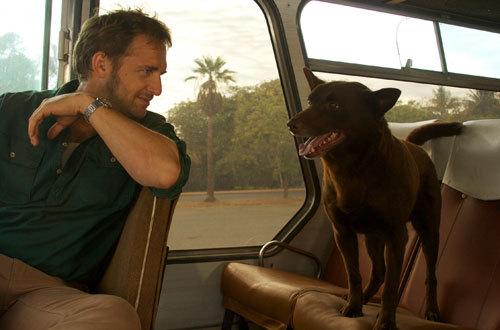 Josh Lucas and Koko in Red Dog (2011)