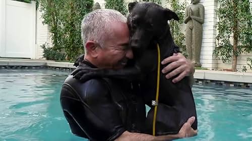 Cesar Millan: Better Human Better Dog: One Brick at a Time