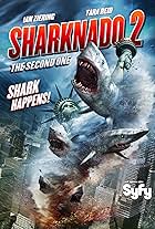 Sharknado 2: The Second One