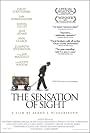 The Sensation of Sight (2006)