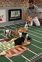 Dan Schachner in Puppy Bowl VIII (2012)