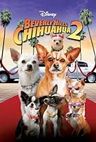 Beverly Hills Chihuahua 2