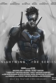 Primary photo for Nightwing: The Series