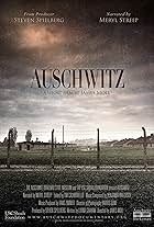 Auschwitz