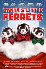 Primary photo for Santa's Little Ferrets