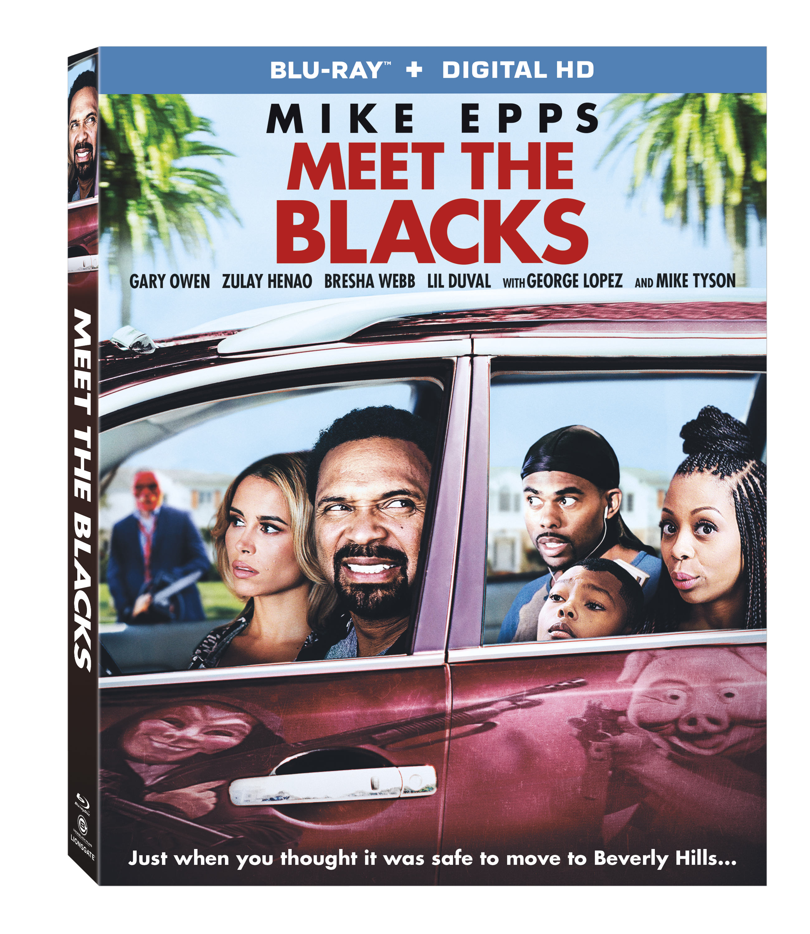 Meet the Blacks (2016)