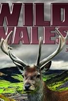 Wild Wales (2010)