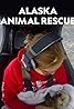 Alaska Animal Rescue (TV Series 2020– ) Poster