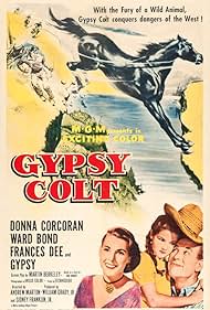 Ward Bond, Frances Dee, Highland Dale, and Donna Corcoran in Gypsy Colt (1954)