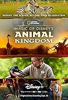 Magic of Disney's Animal Kingdom