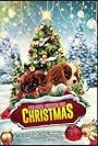 Project: Puppies for Christmas (2019)