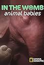 In the Womb: Animal Babies (2022)