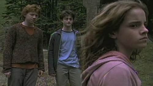 Harry Potter And The Prisoner Of Azkaban Scene: You Evil Little Cockroach