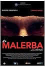 Once I was Malerba (2016)