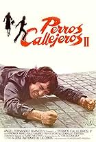 Perros callejeros II