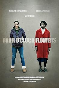 Primary photo for Four O'Clock Flowers