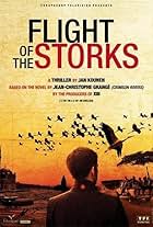 Flight of the Storks