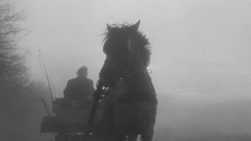 János Derzsi and Ricsi in The Turin Horse (2011)