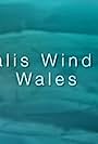 Alltwalis Wind Farm, Wales (2010)