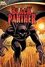 Black Panther (2010)