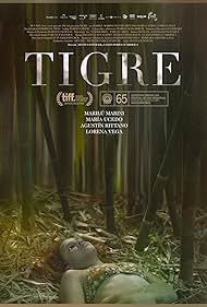 Tigre (2017)