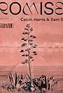 Calvin Harris & Sam Smith: Promises (2018)