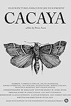 Cacaya (2017)