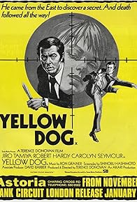 Primary photo for Yellow Dog