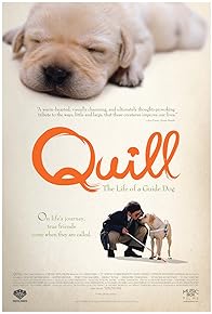 Primary photo for Quill: The Life of a Guide Dog