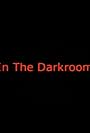 In the Darkroom (2013)