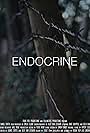 Endocrine (2022)