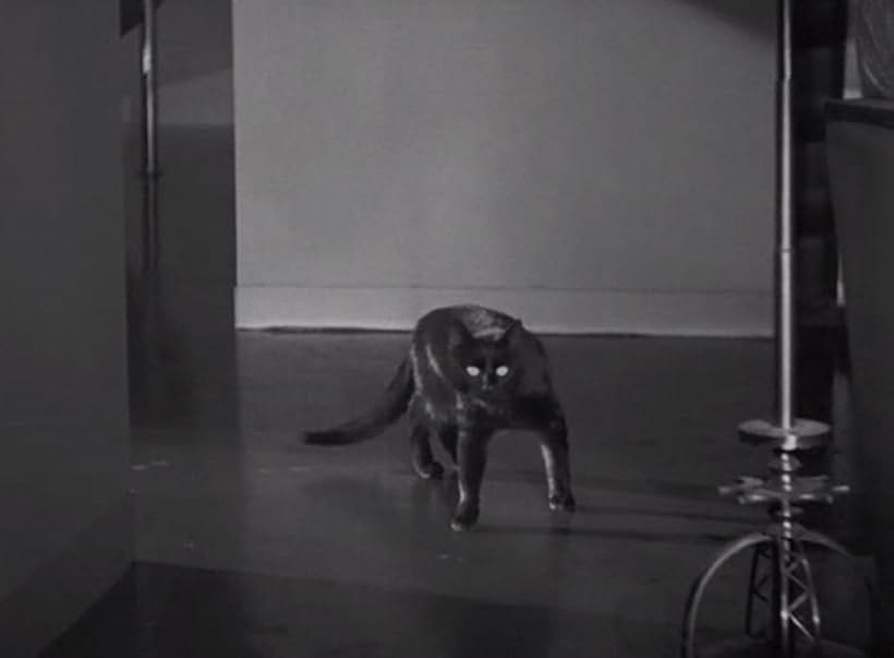 The Black Cat (1934)