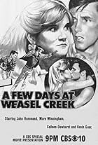 A Few Days in Weasel Creek (1981)