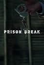 Prison Break: Proof of Innocence (2006)