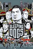 Sleeping Dogs