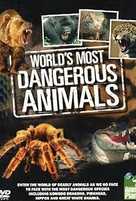 Primary photo for The World's Most Dangerous Animals III