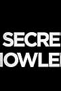 Secret Knowledge (2013)