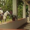 Murilo Benício, Marcos Palmeira, and Juliano Cazarré in Pantanal (2022)