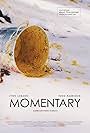 Momentary (2016)