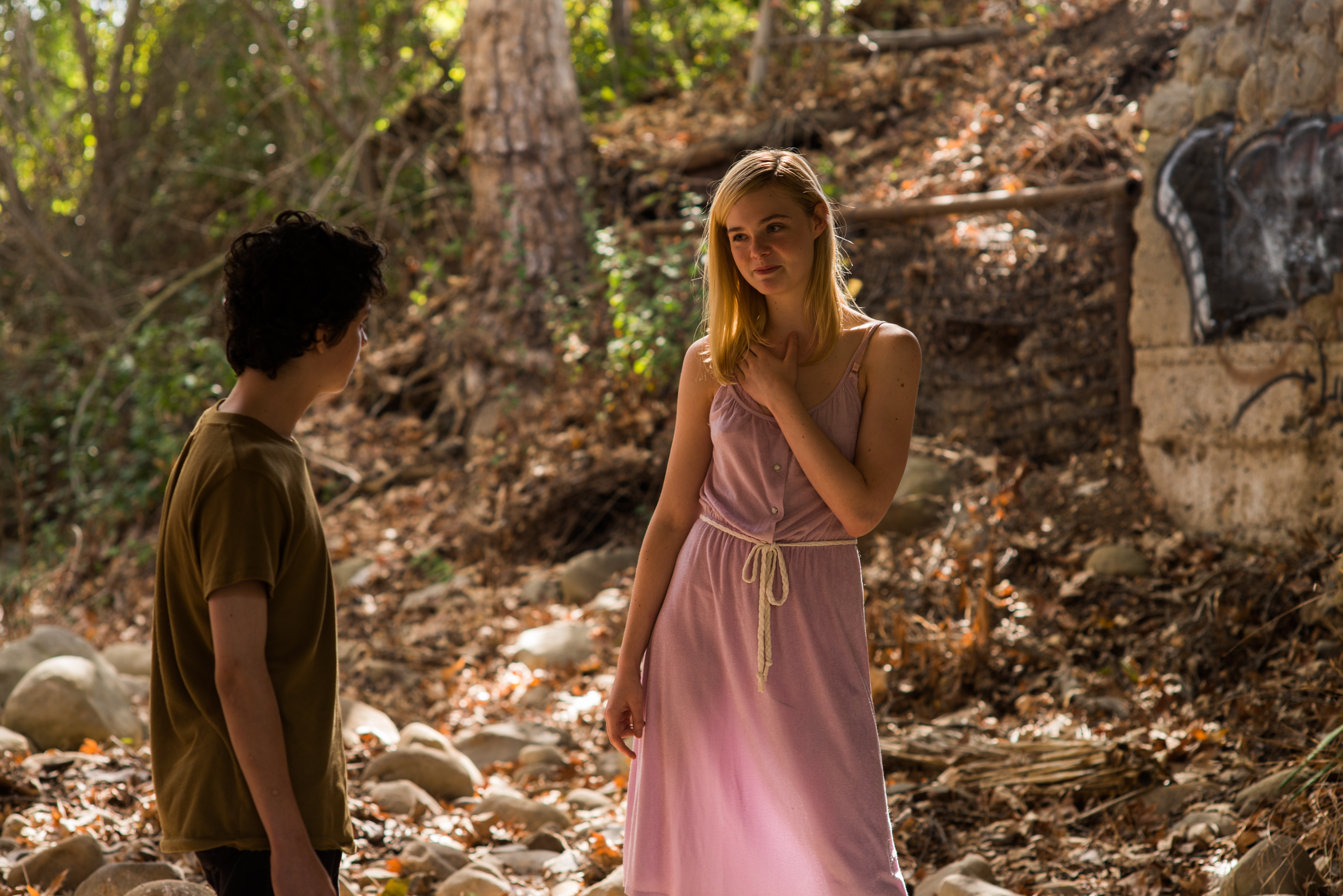 Elle Fanning and Lucas Jade Zumann in 20th Century Women (2016)