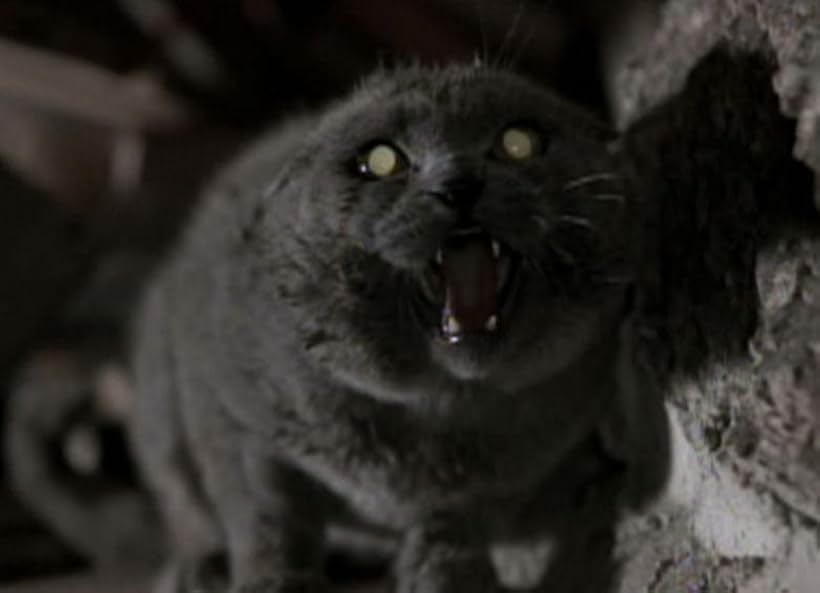 Pet Sematary (1989)