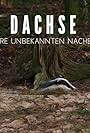 Dachse: Unsere unbekannten Nachbarn (2021)