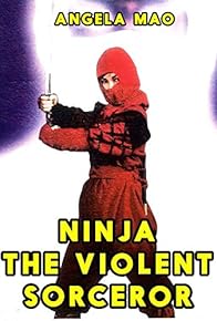 Primary photo for Ninja: The Violent Sorceror